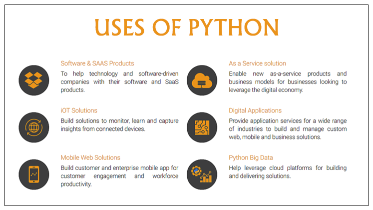 Python Web Design Services